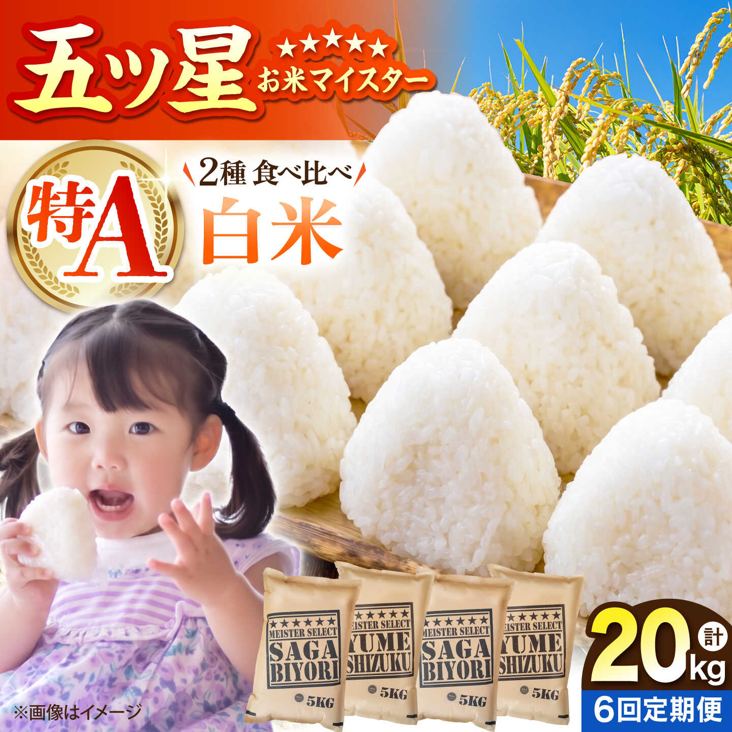 【ふるさと納税】【全6回定期便】 白米 食べ比べ さがびより・夢しずく 各回20kg（各5kg×2袋）【五つ星お米マイスター厳選】特A米 特A評価[HBL150]