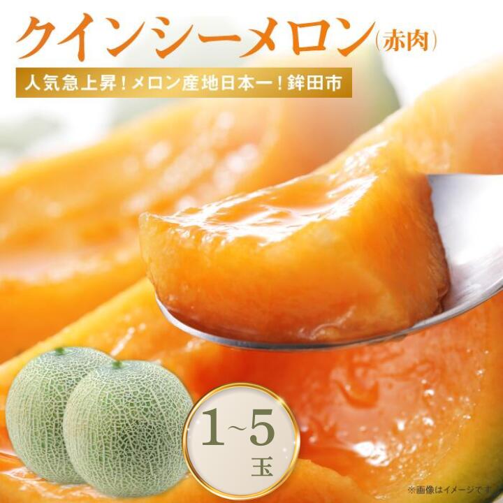 【ふるさと納税】メロン めろん 赤肉が美味しい！クインシーメロン(1〜5個入） 選べる内容量 さんて旬菜館