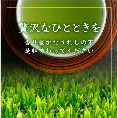ふるさと納税 鹿島市 うれしの茶 特上煎茶「金」90g×1本(リーフ) |  | 03