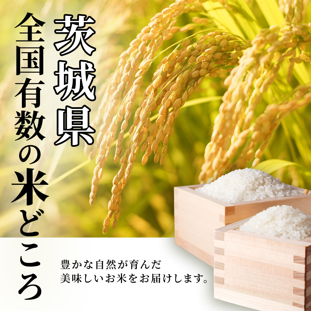 【3月上期出荷】品種おまかせ 10kg 茨城県つくばみらい市産 精米 こしひかり コシヒカリ あきたこまち ひとめぼれ ふくまる ゆめひたち ミルキークイーン にじのきらめき 米 コメ こめ 単一米 