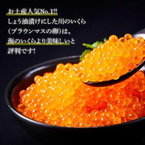 「信州サーモンのお刺身」（100g×2ケ）と「川のいくら（ブラウンマスの卵）のしょうゆ漬け」（100g×2ケ）セット｜ サーモン いくら