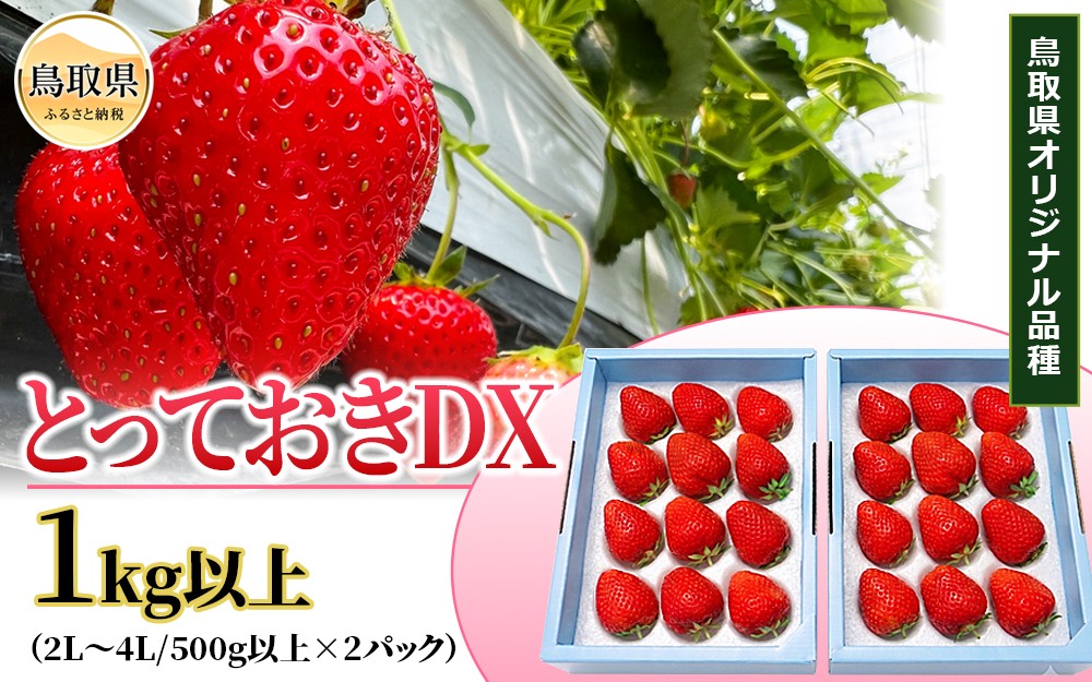 
                  鳥取産　いちご「とっておきDX」1㎏以上　鳥取県オリジナル品種　限定ブランド　とみハウス【期間･数量限定】_T2600526
                