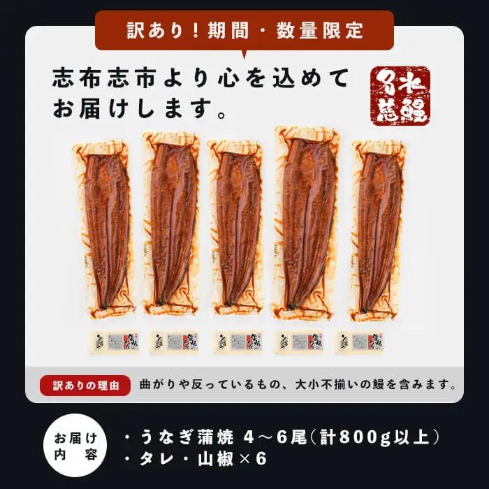【訳あり・数量限定】復活！不揃いのうなぎ達 計800g以上(鹿児島県産 鰻の蒲焼き)  うなぎ 鰻 ウナギ 不揃い ふぞろい 訳アリ 国産 九州産 蒲焼 蒲焼き かばやき 冷凍 うな重 ひつまぶし 人