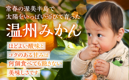  温州みかん 10 kg 訳あり 八木みかん園 農家直送