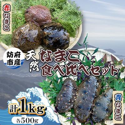 ふるさと納税 防府市 【先行受付】防府市産天然赤なまこ青なまこ食べ比べセット