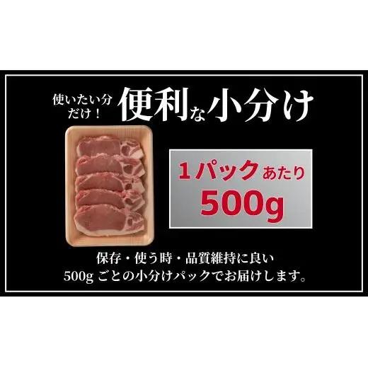 長崎県産豚 ロースとんかつ用計1kg (100g×5枚×2)