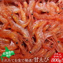 【ふるさと納税】【北海道内限定】とれたてを生で発送! 甘えび800g（メスor小サイズ） | 甘えび 800g えび エビ 海老 小サイズ メス 限定 冷蔵 発送地域限定 魚介類 刺身 丼 北海道 羽幌町 羽幌 ふるさと納税【06015】