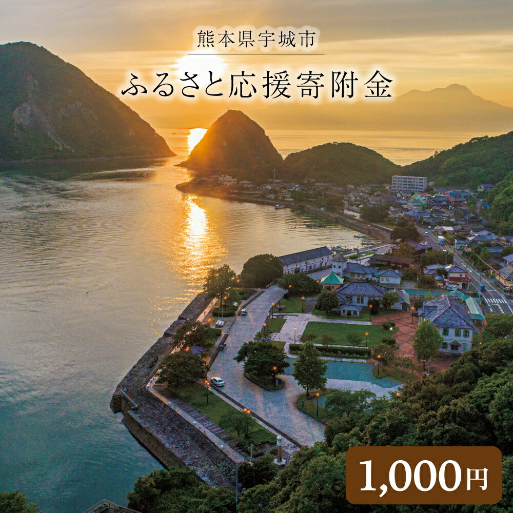 【ふるさと納税】【返礼品なし】熊本県宇城市 ふるさと応援寄附金 1,000円