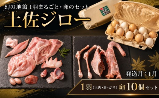 【1月発送】 希少 土佐ジロー 1羽 ( 正肉 肝 がら ) 卵 10個 セット ＼満天☆青空レストラン／ メディア紹介多数 地鶏 肉 鶏肉 鶏 とり たまご 玉子 お弁当 冷蔵 惣菜 おかず 弁当 ブランド鶏 焼くだけ 簡単調理 自宅用 家庭用 贈答 プレゼント ギフト 贈り物 雄若鳥 調理コツ 数量限定 美味しい 人気 ご飯 はたやま夢楽 安芸市 高知県