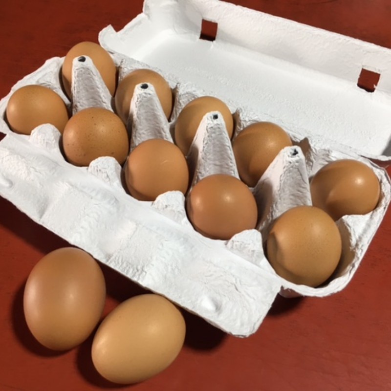 信州小川村　有機飼料を食べて育った、栄養たっぷりの朝採れ卵を当日出荷