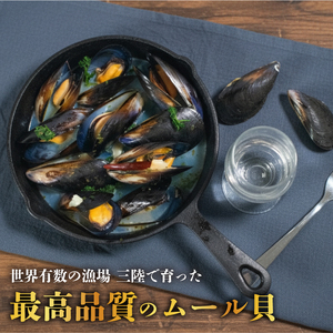 三陸産 活ムール貝 1kg ムール貝