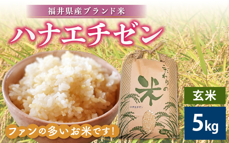 【新米】 令和7年産 ハナエチゼン 5kg 福井県産【玄米】【お米 はなえちぜん 華越前 5キロ】 [e30-a088]