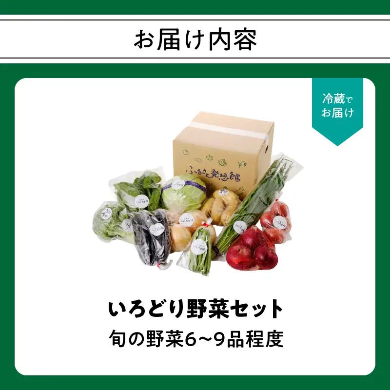 旬の野菜定期便 3か月 ／ 野菜【Z066】