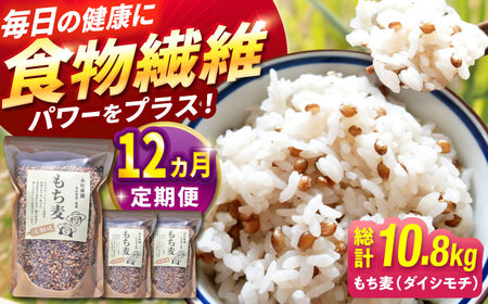 【12回定期便】白石産もち麦900g 計10.8kg / もち麦 [IAA036]