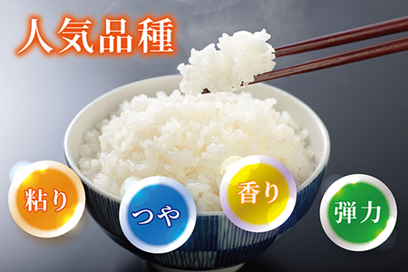 〈新米〉減農薬米 こしひかり 6kg ／令和5年福井県産 （白米）