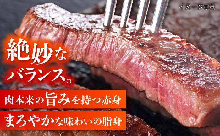 ステーキ 冷凍 牛 ヒレ ひれ サーロイン すてーき ステーキ ステーキ肉 a5 4枚 定期便 定期