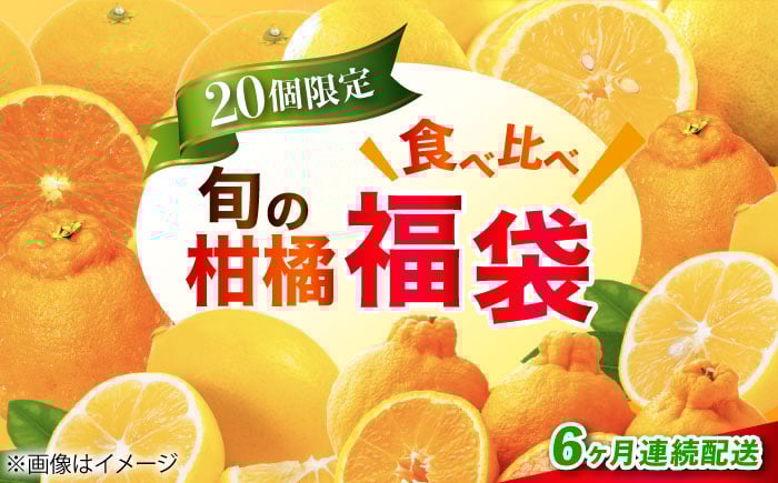 
            【全6回定期便】江田島市から旬の柑橘類をお届け！お楽しみ福袋 みかん フルーツ 果物 数量限定 期間限定 江田島市/江田島市観光協会 [XAI009]
          