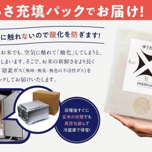 京都府京田辺市産 京と米 ゆうだい21 2kg (2kg×1袋) R7年度産 お米 米 こめ コメ 精米 白米 ごはん ご飯 弁当 おにぎり 真空 長期保存 防災 京田辺市 京都府 kt2026