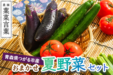 葉菜言葉のおまかせ夏野菜セット 1kg｜旬の野菜 夏 野菜セット 冷蔵 詰め合わせ 産直 農家直送 新鮮 ギフト サラダ [0636]