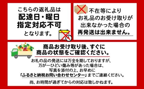 北海道 赤肉メロン 大玉 約2kg 2玉 メロン 赤肉 果物 フルーツ 甘い 完熟 スイーツ デザート 産直 国産 贈答品 お祝いギフト羊蹄山 JAようてい 送料無料 北海道 倶知安町