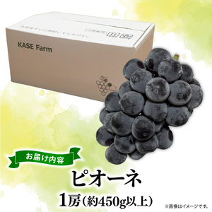 訳あり ピオーネ 1房 450g 以上 数量限定 種なし 