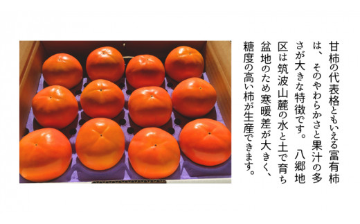 富有柿 2L 14玉 (茨城県共通返礼品 石岡市) 果物 くだもの フルーツ 柿 かき 2026年11月中旬以降発送 [DC003sa]