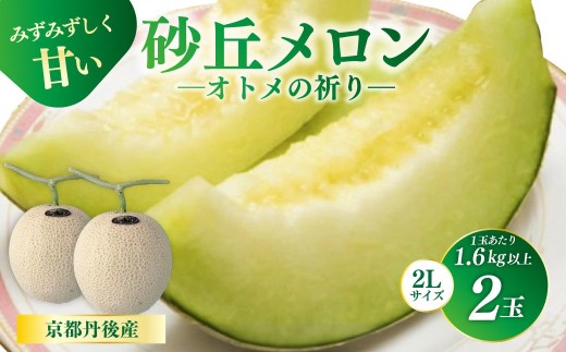 【先行予約】京都丹後久美浜産　砂丘メロン【オトメの祈り】　2Lサイズ／2玉入（2026年7月中旬～発送）　水はけがいい砂丘で育ったみずみずしいメロン 高い糖度 お中元 贈り物にも 的場農園 フルーツ 
