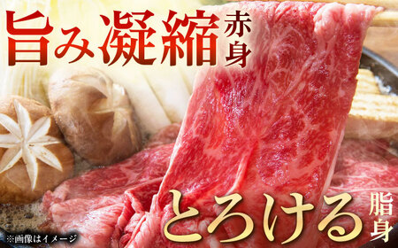 【3回定期便】長崎和牛モモスライス約500g【黒牛】[QBD074]