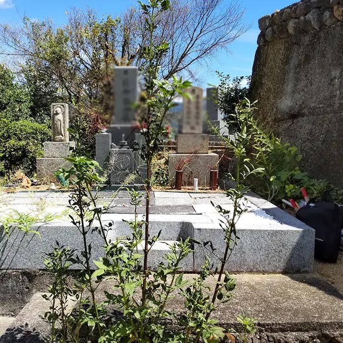 お墓清掃サポート業務 ／ チケット お墓管理 屋外確認 墓石清掃 区画内草引き 代行業務 大阪府 No.141