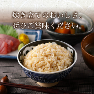a10-596　令和5年産新米 玄米 5kg コシヒカリ