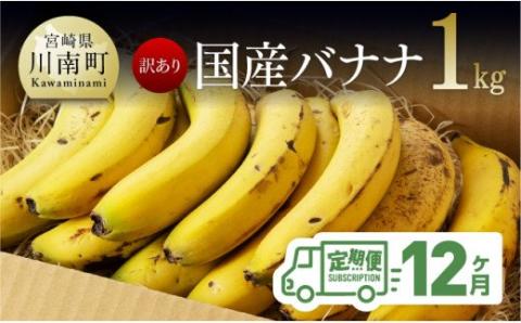 【訳あり】国産バナナ １ｋｇ【12ヶ月定期便】【 国産 バナナ 無農薬 フルーツ 果物 デザート 朝食 スムージー 宮崎県産 川南町 全12回 】[F5805]