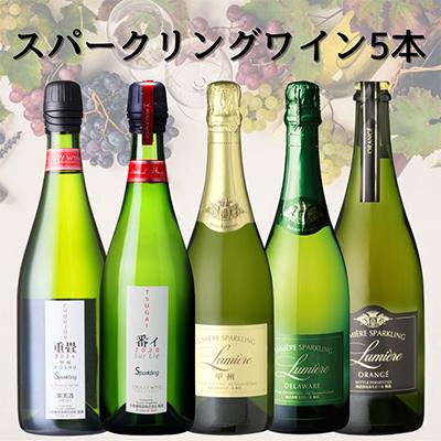 ふるさと納税 山梨県 山梨県産スパークリングワイン5本　053