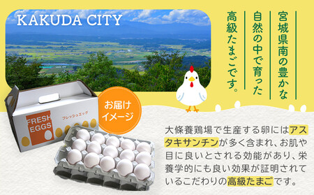 おおえだファーム アスタキサンチン卵（白卵）Lサイズ 50個入り