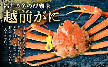 【先行予約】≪浜茹で≫ 地物！天然！越前がに 生の状態で約800g～900g × 1杯【2025年12月上旬以降順次発送予定】かにスプーン付き はるか丸厳選！獲れたて！茹でたてをお届けします！【冷蔵 
