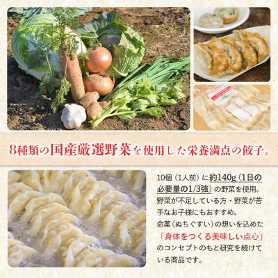 ふるさと納税 中標津町 【なかしべつミルキーポーク100%使用】 樹苞 命薬ぎょうざ60個(約6人前) |  | 01
