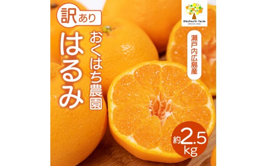 
                  【おくはち農園】〈訳あり〉はるみ 2.5kg 《2027年2～3月発送予定》 栽培期間中 防腐剤 ワックス 不使用 旬 柑橘 かんきつ フルーツ 果物 瀬戸内 166007
                