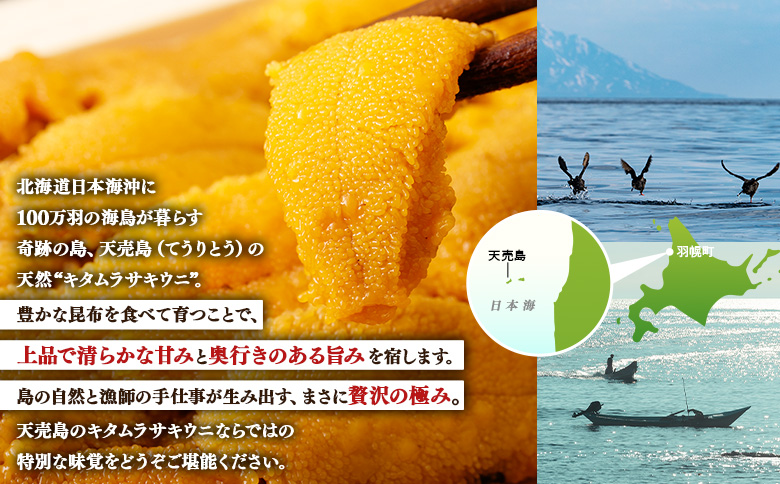 【北海道 天売島産】 ★2026年先行予約★ 天然 キタムラサキうに 塩水パック 100g×1パック | ウニ うに ムラサキウニ 紫うに 天然うに 北海道うに 高級うに 海鮮 海産物 生うに 塩水う