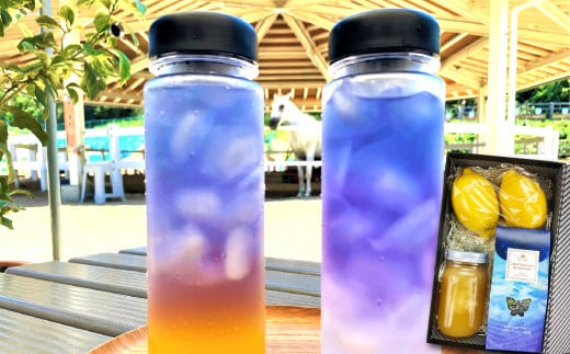 A-704 さんさん牧場の『バタフライピーティ―詰め合わせ』（引退競走馬の飼育寄付つき）