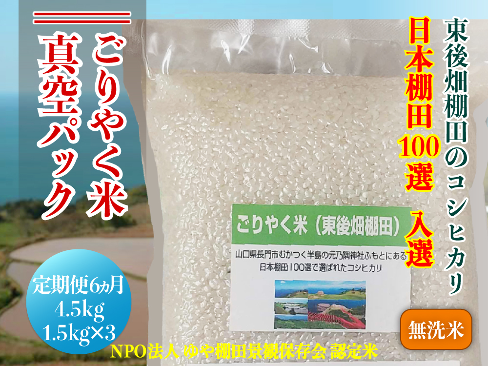 (1902)【定期便】※令和6年度産先行予約※米   お米 無洗米真空パック 定期便 毎月コース精米 こしひかり コシヒカリ 真空 小分け ごりやく米「東後畑棚田こしひかり」 無洗米4.5㎏ (無洗米真空パック1.5㎏×3個) 棚田米 棚田 長門市 4.5㎏ お米の定期便 定期購入