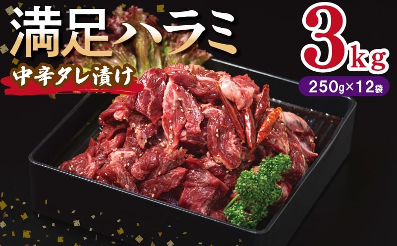 
            【満足ハラミ】中辛タレ漬け 合計3kg 【味付け ハラミ 小分け 焼くだけ 簡単調理 BBQ 牛肉 250g×12P】
          