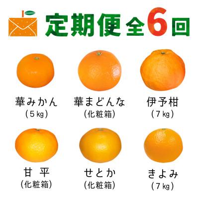 ふるさと納税 八幡浜市 【発送月固定定期便】コウ果樹園の旬の柑橘定期便(11月-4月)【H33-40】全6回