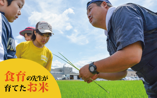 【令和7年産】【定期便】特別栽培米きたくりん 10kg×3回 北海道当麻町 舟山農産 減農薬 低農薬【AB-026】