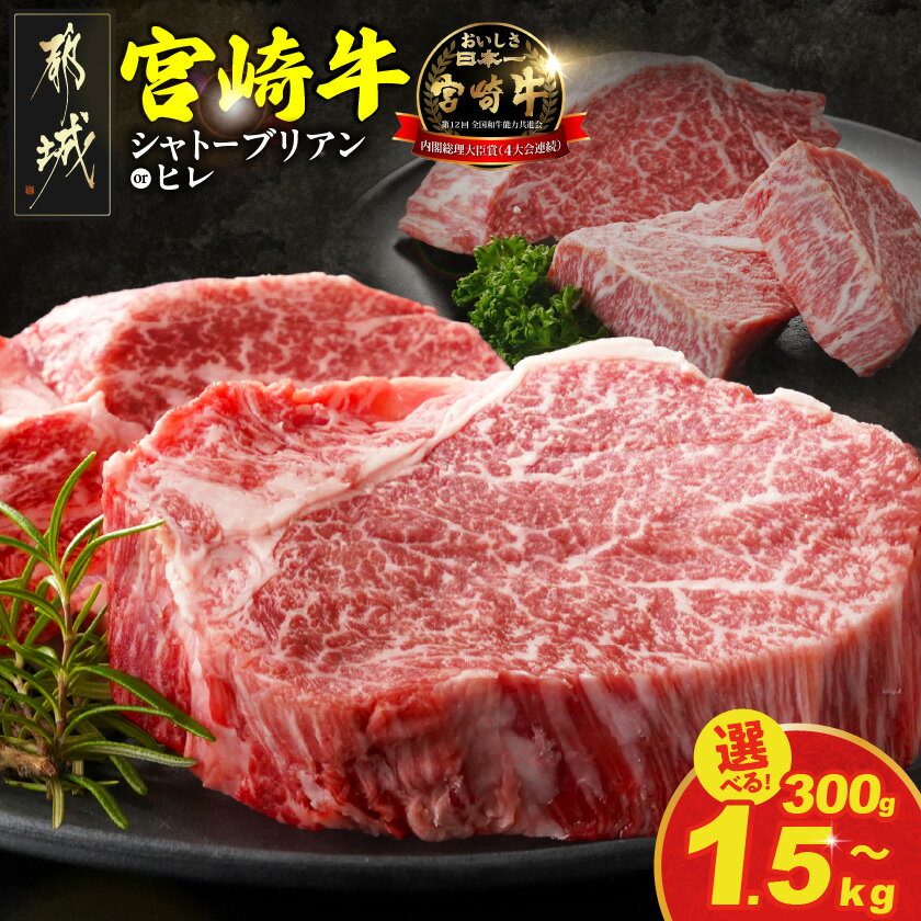 【ふるさと納税】【セット内容＆発送時期が選べる！】宮崎牛ステーキ - 宮崎牛 宮崎県産 シャトーブリアン/ヒレ ステーキ肉 ミヤチク 黒毛和牛 冷凍 送料無料 SKU-N205 【宮崎県都城市は2年連続ふるさと納税日本一！】