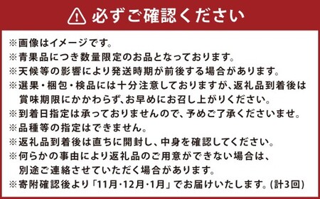 【年3回定期便】 大将さん家の温州みかん 各約5kg （合計：3回 （約15kg） ） 【11月・12月・1月配送】 ／ 早生みかん 伊木力系温州みかん 晩生みかん 柑橘 柑橘類 みかん 温州みかん 