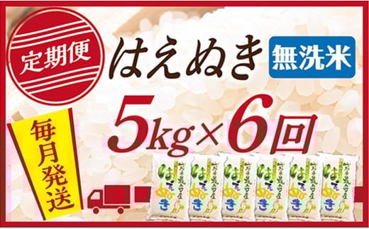 【定期便】【無洗米】令和7年産 山形県産 はえぬき 5kg (5kg×1)  6回配送　【初回R8年1月発送】