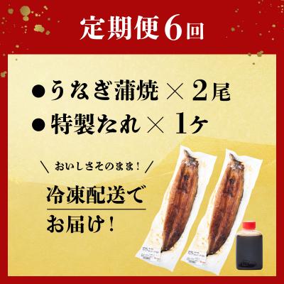 ふるさと納税 室戸市 【6回定期便】ヤマジュウ厳選! 国産 ウナギ 蒲焼き 2尾(1尾あたり約160g〜170g)×6回 |  | 03