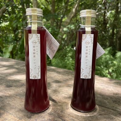 ふるさと納税 東村 【緑豊かな大地から生まれた】やんばる野草酵素シロップ2本セット