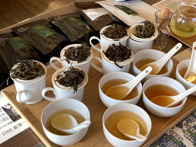 茶園見学ツアー2名様チケット_BM06