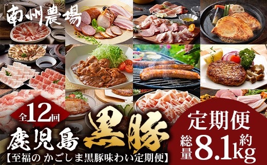 【全12回】至福の かごしま黒豚 味わい定期便 NS-37 | 鹿児島 かごしま 豚 豚肉 ぶた おかず しゃぶしゃぶ 餃子 味噌漬け 生ハム 生姜焼き ハンバーグ ウインナー ハム ソーセージ 焼き豚 切り落とし もも肉 肩ロース バラ 人気 定期便 鹿児島県 南大隅町
