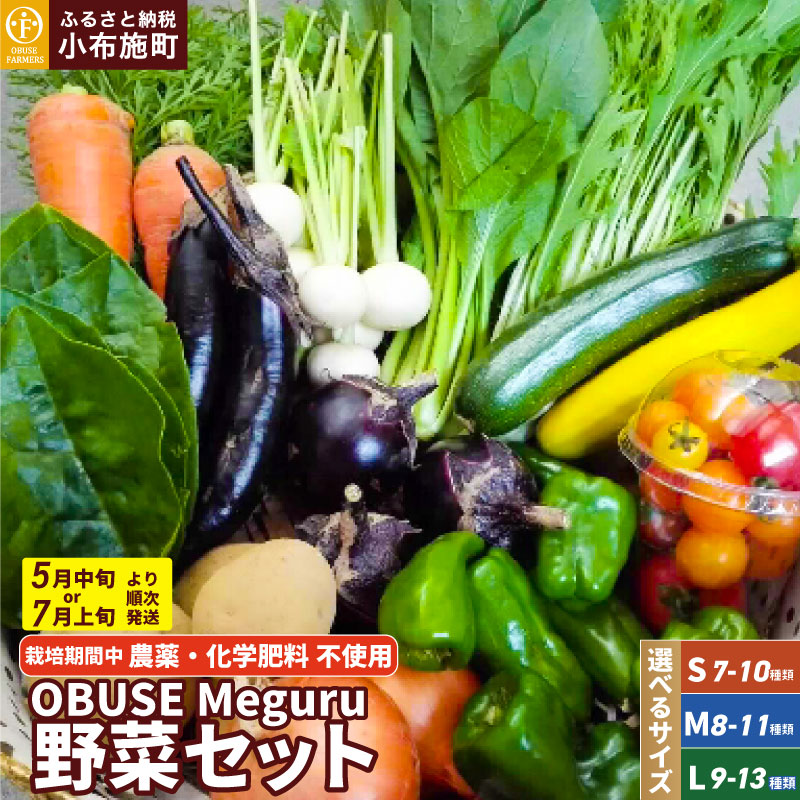 【ふるさと納税】［栽培期間中農薬・化学肥料不使用］ OBUSE Meguru 野菜セット ［おぶせファーマーズ］選べる内容量 S 7〜10種類 M 8〜11種類 L 9〜13種類 野菜 詰め合わせ 詰合せ 農薬不使用 化学肥料不使用 やさい 詰め合わせ 詰合せ お楽しみ 長野県産 令和7年産